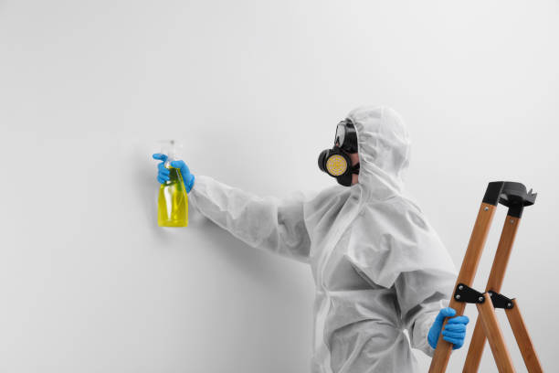 Why You Should Choose Our Mold Remediation Services in Delaware City, DE